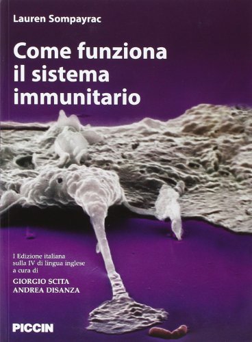 Beispielbild fr Come funziona il sistema immunitario zum Verkauf von libreriauniversitaria.it