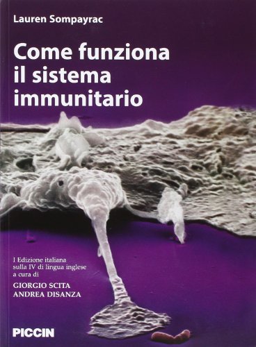 Stock image for Come funziona il sistema immunitario for sale by libreriauniversitaria.it