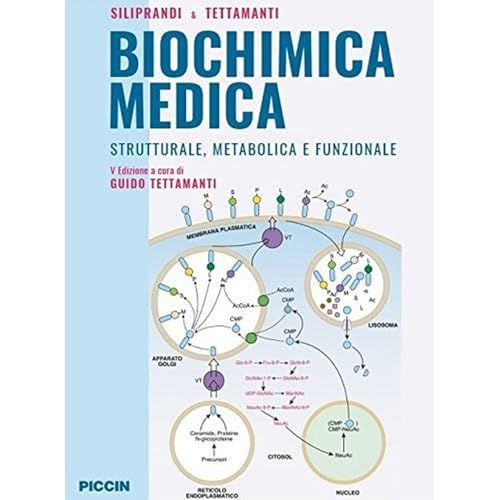 Stock image for Biochimica Medica - Strutturale, metabolica e funzionale for sale by libreriauniversitaria.it