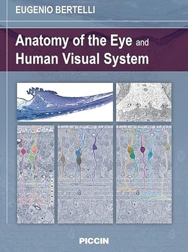 Stock image for Anatomy of the Eye and Human Visual System for sale by Red's Corner LLC