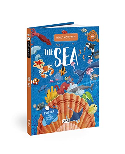 Imagen de archivo de Questions Answers The Sea a la venta por GreatBookPrices
