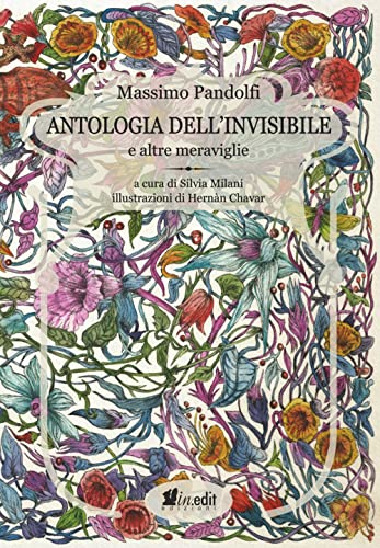 Stock image for Antologia dell'Invisibile e altre Meraviglie for sale by libreriauniversitaria.it