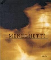 9788831767170: Meneghetti. Radiografie (1982-1997) (Cataloghi)