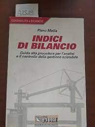 Beispielbild fr Indici di bilancio (Contabilit, finanza e controllo) zum Verkauf von medimops