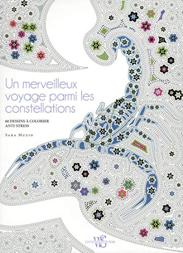 Beispielbild fr Un merveilleux voyage parmi les constellations zum Verkauf von Ammareal
