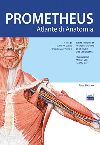 Stock image for Prometheus. Altante Di Anatomia for sale by libreriauniversitaria.it