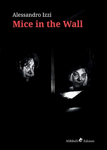 Beispielbild fr Mice in the Wall zum Verkauf von Buchpark