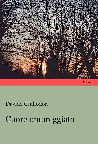 Stock image for Cuore ombreggiato for sale by Brook Bookstore