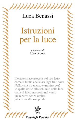 Stock image for ISTRUZIONI PER LA LUCE (Italian) for sale by Brook Bookstore