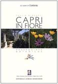 Stock image for Capri Blossoming: Botanical Walks. for sale by AwesomeBooks