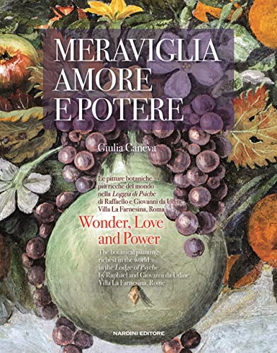 Beispielbild fr MERAVIGLIA AMORE E POTERE zum Verkauf von Brook Bookstore