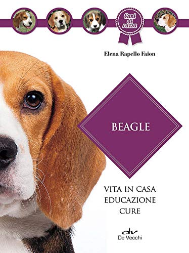 Beagle - Elena Rapello Faion