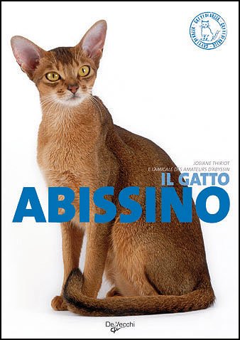 9788841248126: Il gatto abissino (Gatti di razza)