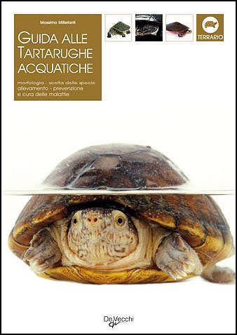 Imagen de archivo de Guida alle tartarughe acquatiche (Le guide Pet) a la venta por medimops