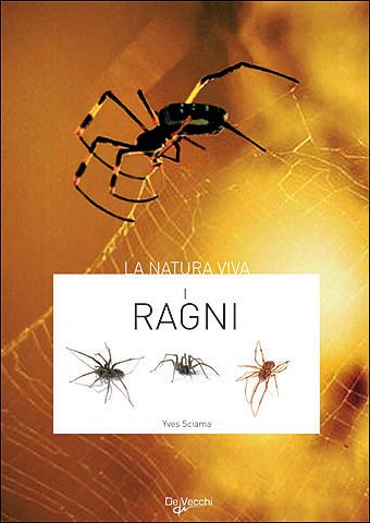 Stock image for I ragni Sciama, Yves for sale by Librisline