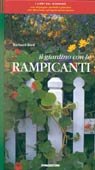 9788841563656: Il giardino con le rampicanti (I libri del giardino)