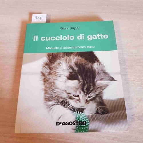 9788841855959: Il cucciolo di gatto. Manuale di addestramento felino. Ediz. illustrata