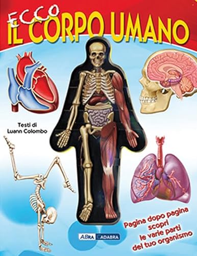 Stock image for Ecco il corpo umano for sale by Libreria IV Fontane S.a.S