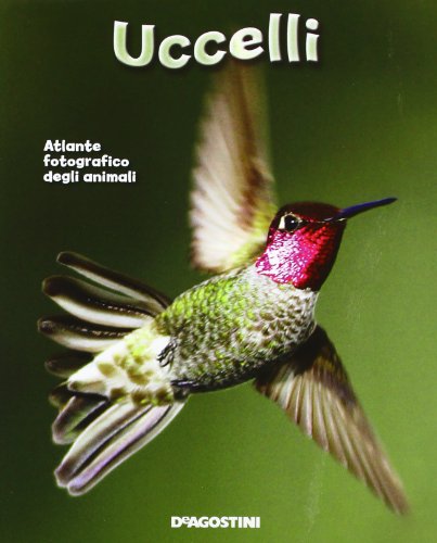 Stock image for Uccelli. Atlante fotografico degli animali (Enciclopedia illustrata) for sale by online-buch-de