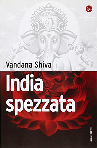 Stock image for India spezzata for sale by medimops
