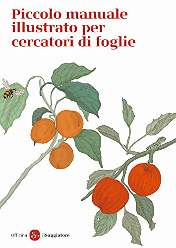 9788842828150: Piccolo manuale illustrato per cercatori di foglie. Ediz. a colori