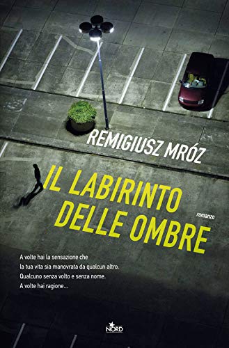 Beispielbild fr IL LABIRINTO DELLE OMBRE (Italian) zum Verkauf von Brook Bookstore