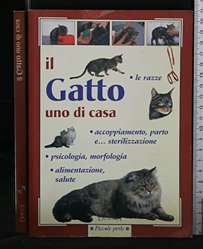 Stock image for Il gatto di casa. for sale by Libreria Oltre il Catalogo