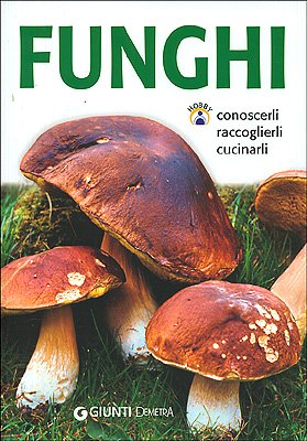 9788844032203: Funghi. Conoscerli, raccoglierli, cucinarli (Hobby)
