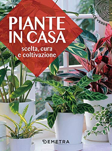 Stock image for Piante in casa: Scelta, cura e coltivazione (Pollice verde) (Italian Edition) for sale by libreriauniversitaria.it