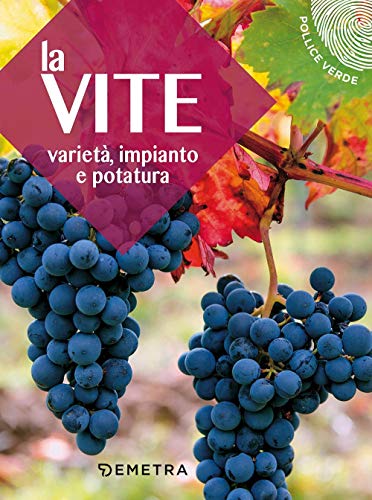 Stock image for La vite: Variet, impianto e potatura (Pollice verde) (Italian Edition) for sale by libreriauniversitaria.it