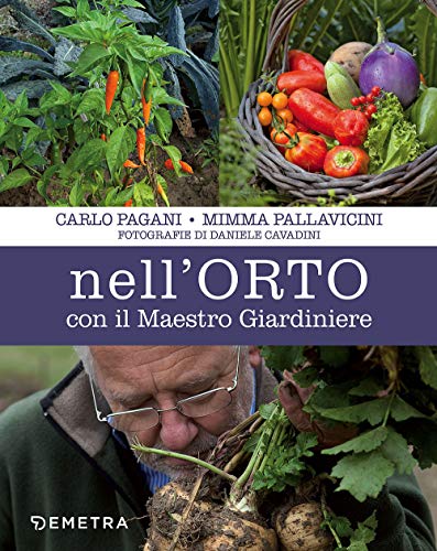 Beispielbild fr Nell'orto con il maestro giardiniere zum Verkauf von medimops