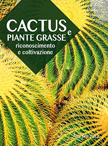 Stock image for Cactus e piante grasse. Riconoscimento e coltivazione for sale by medimops