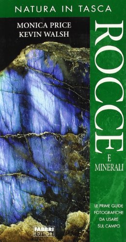 9788845115196: Rocce e minerali