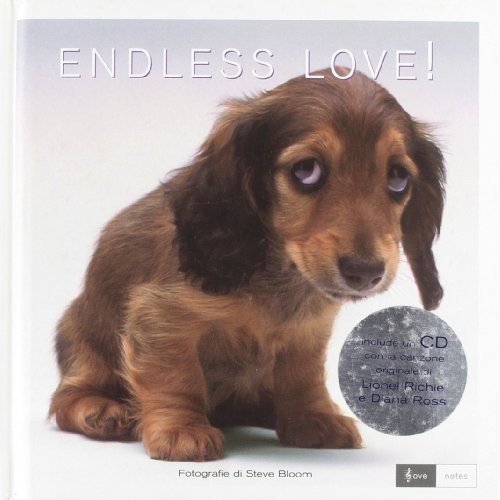 Beispielbild fr Endless love! Ediz. italiana e inglese. Con CD Audio zum Verkauf von medimops
