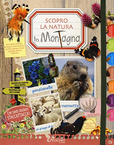 Beispielbild fr In montagna. Scopro la natura. Con adesivi zum Verkauf von medimops