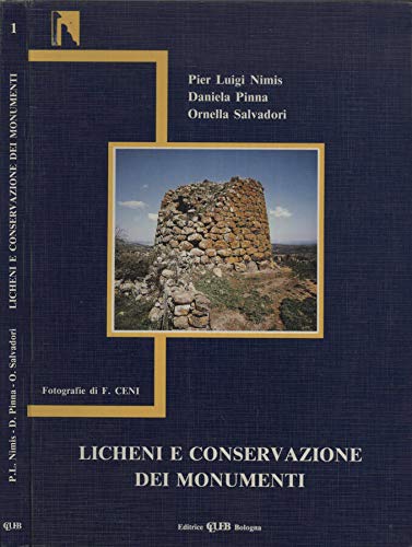 9788849106879: Licheni e conservazione dei monumenti