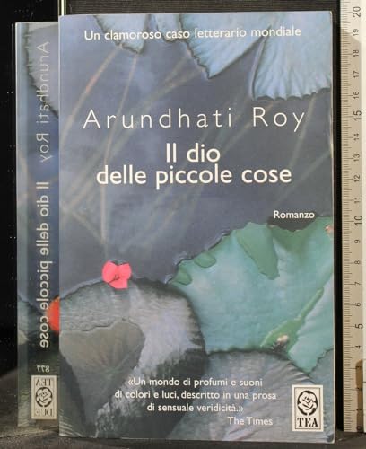 Il Dio Delle Piccole Cose (Italian Edition) - Roy, Arundhati