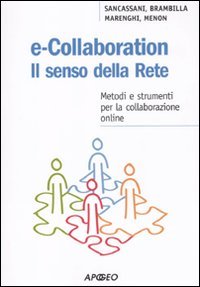 E-Collaboration. Il Senso delle Rete. Metodi e Strumenti per la Collaborazione Online.