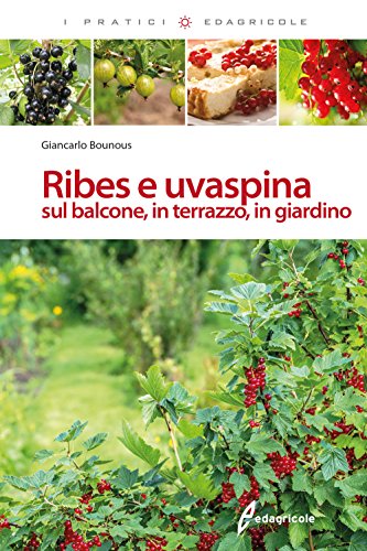 Beispielbild fr Ribes e uvaspina sul balcone, in terrazzo, in giardino (I pratici) zum Verkauf von libreriauniversitaria.it