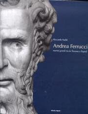 Stock image for Andrea Ferrucci for sale by Luigi De Bei