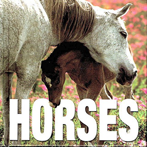 Beispielbild fr Horses by Gabriele Boiselle (2005) Hardcover zum Verkauf von Idaho Youth Ranch Books