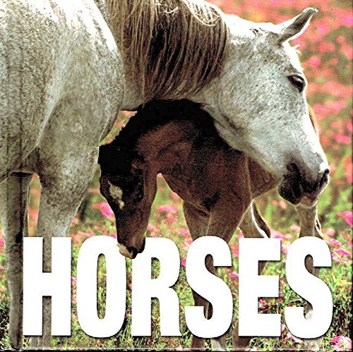 Stock image for Horses by Gabriele Boiselle (2005) Hardcover for sale by Idaho Youth Ranch Books