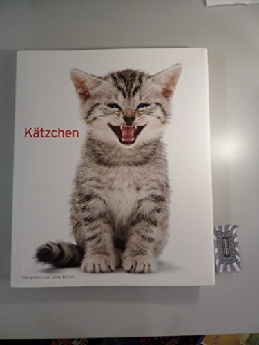 9788854014763: Ktzchen – Katzenportrts –