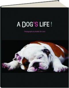 Beispielbild fr A Dog's Life! zum Verkauf von WorldofBooks