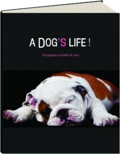 9788854015098: A Dog's Life!