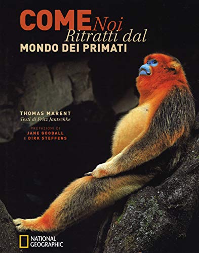 Stock image for Come noi. Ritratti dal mondo dei primati. Ediz. illustrata for sale by Librerie Dedalus e Minotauro