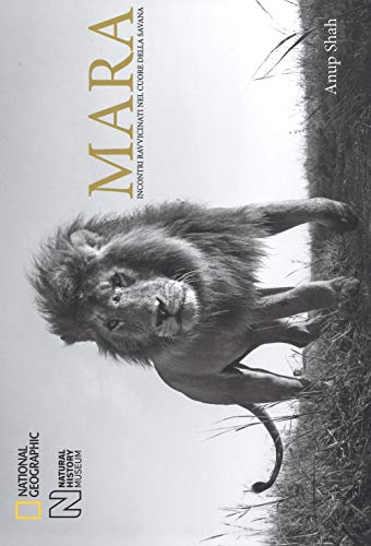 Stock image for Mara. Incontri ravvicinati nel cuore della savana for sale by libreriauniversitaria.it