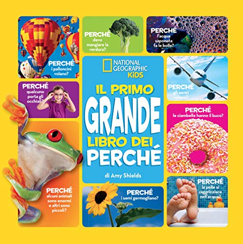 Beispielbild fr Il primo grande libro dei perch zum Verkauf von Buchpark