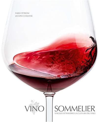 Imagen de archivo de VINO SOMMELIER a la venta por Brook Bookstore