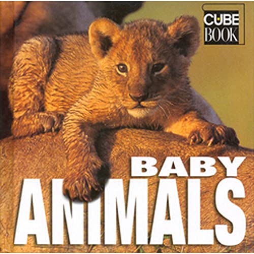 Beispielbild fr Baby Animals (Cubebook) zum Verkauf von WorldofBooks